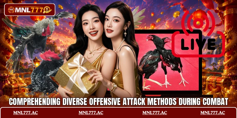 Comprehending diverse offensive attack methods during combat