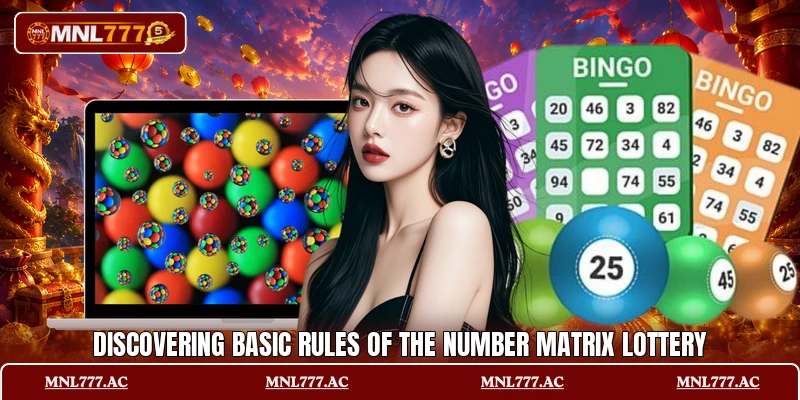 Discovering basic rules of the Number Matrix Lottery