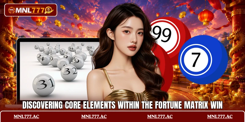 Discovering core elements within the Fortune Matrix Win