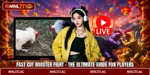 Fast Cut Rooster Fight - The Ultimate Guide For Players