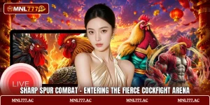 Sharp Spur Combat - Entering The Fierce Cockfight Arena